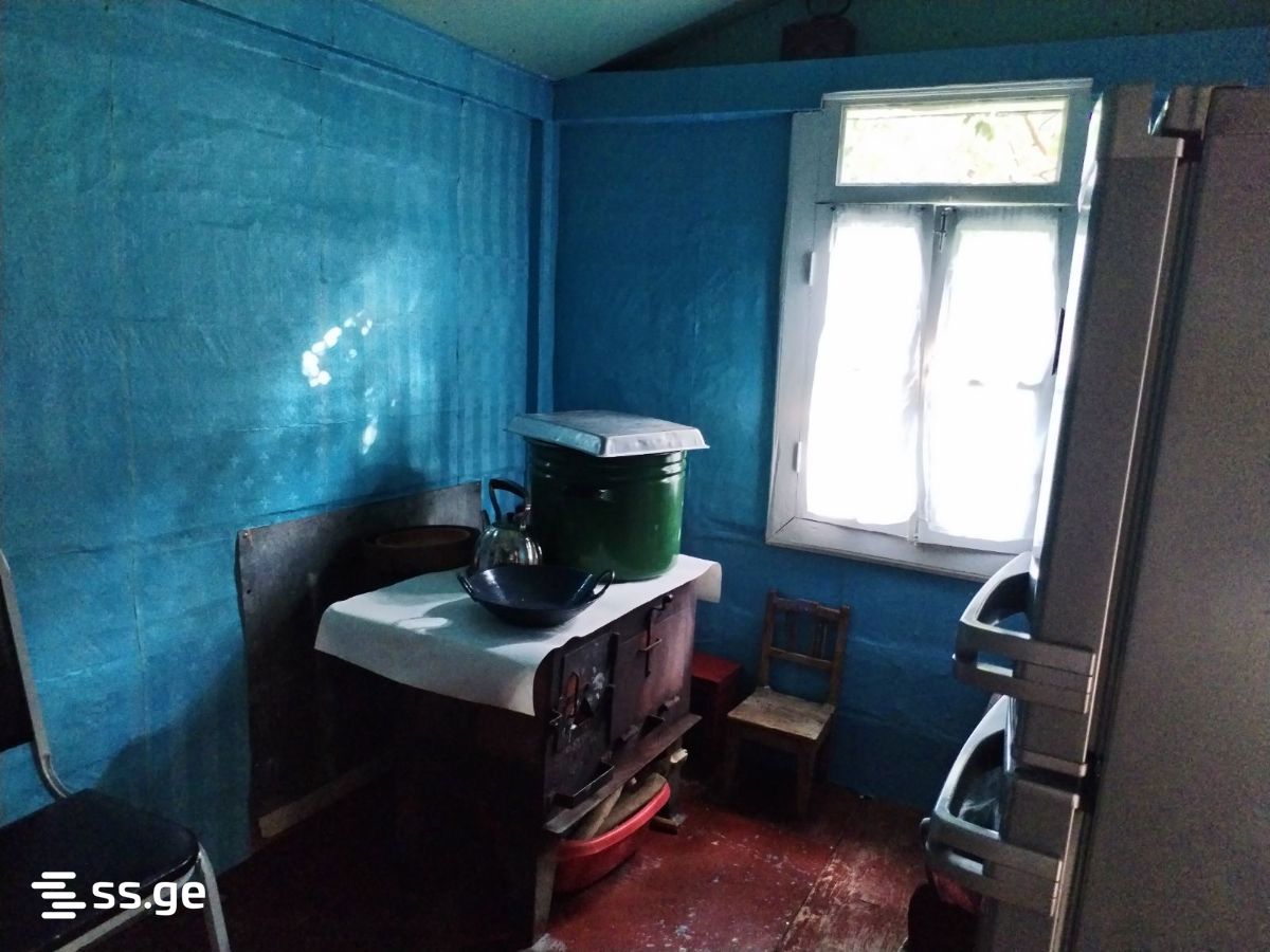 3 Room Private House Daily Rent. Ambrolauri view 11