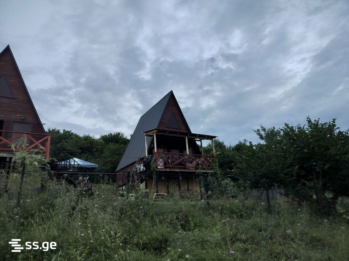 1 Room Summer Cottage Daily Rent. Tianeti view 5