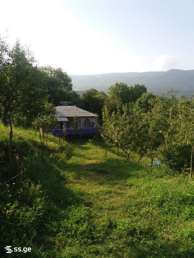 3 Room Private House Daily Rent. Ambrolauri view 3