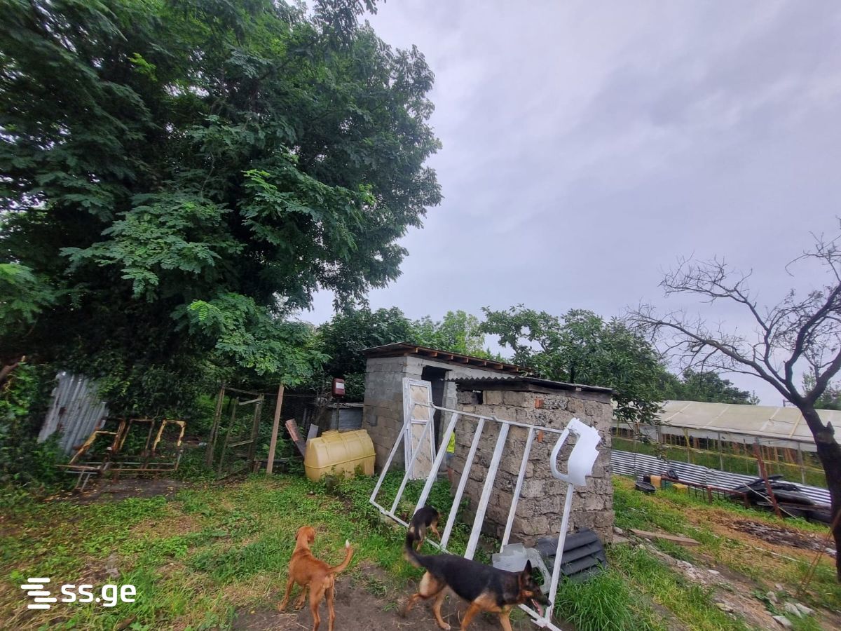3 Room Private House For Sale view 2