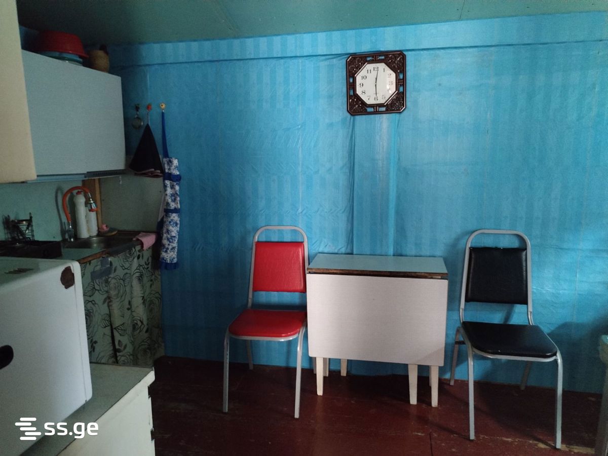 3 Room Private House Daily Rent. Ambrolauri view 4
