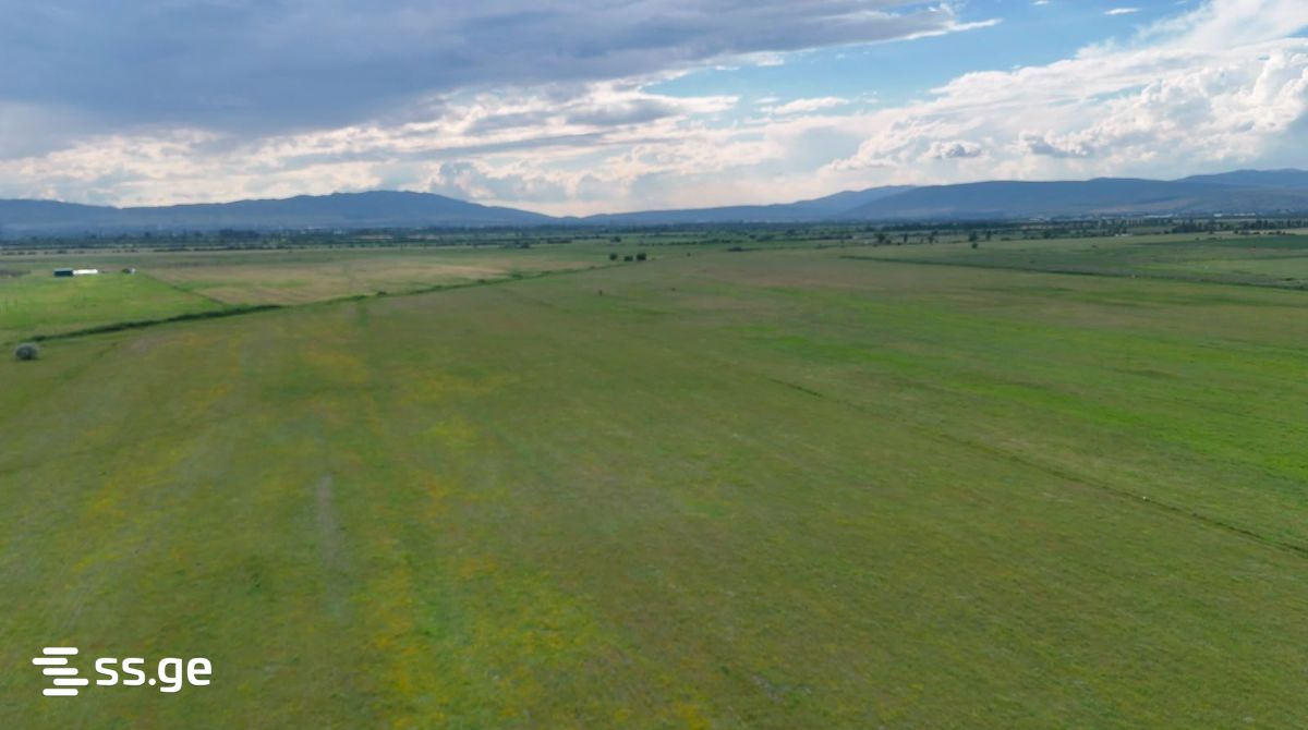 Land For Sale. Mukhrani view 7