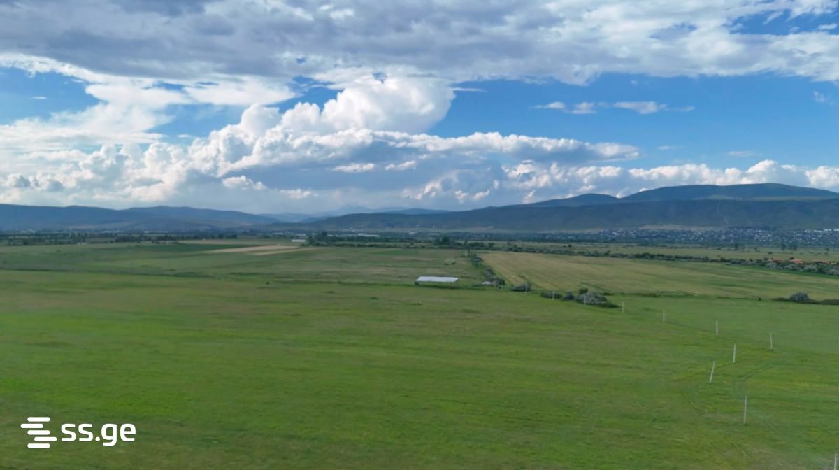 Land For Sale. Mukhrani view 4