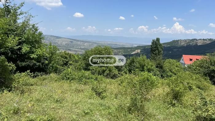 https://static.ss.ge/20260827/15_145bf9ee-5909-42a5-9578-6e90c1898b01_Thumb.jpg