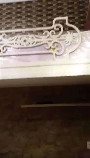 https://static.ss.ge/20260827/17_593369ee-468d-43b3-aa6b-cf9cd891c549_Thumb.jpg