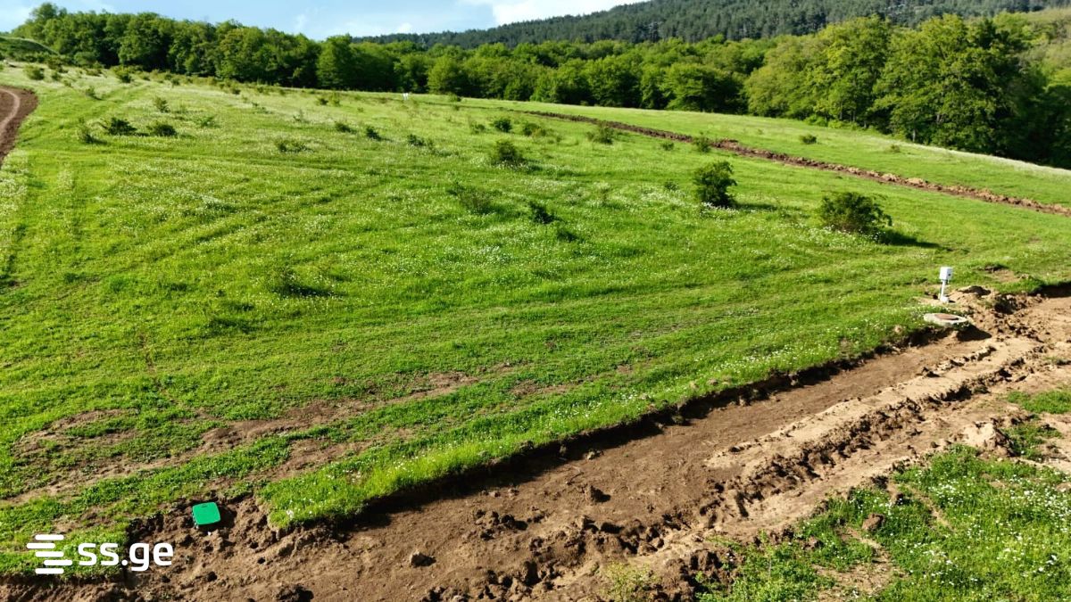 Land For Sale. Kiketi view 3