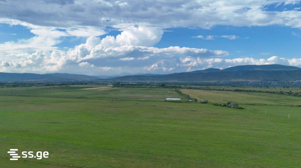 Land For Sale. Mukhrani view 2