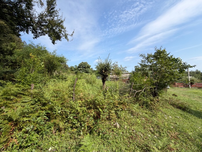 https://static.ss.ge/20260827/1_66994888-66f2-4d8c-a8d3-00454434db45_Thumb.jpg