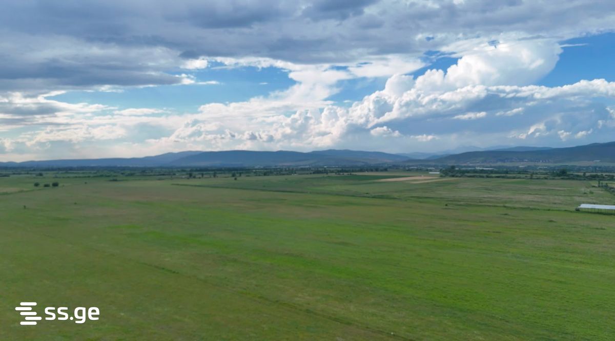 Land For Sale. Mukhrani view 5