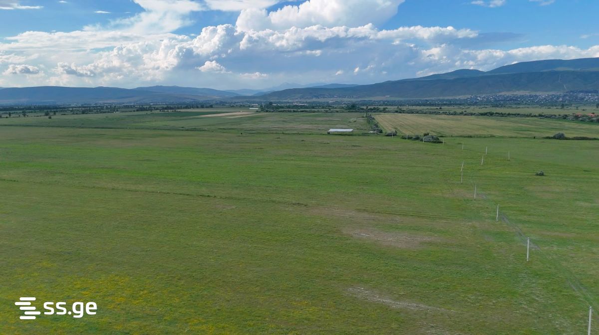 Land For Sale. Mukhrani view 6