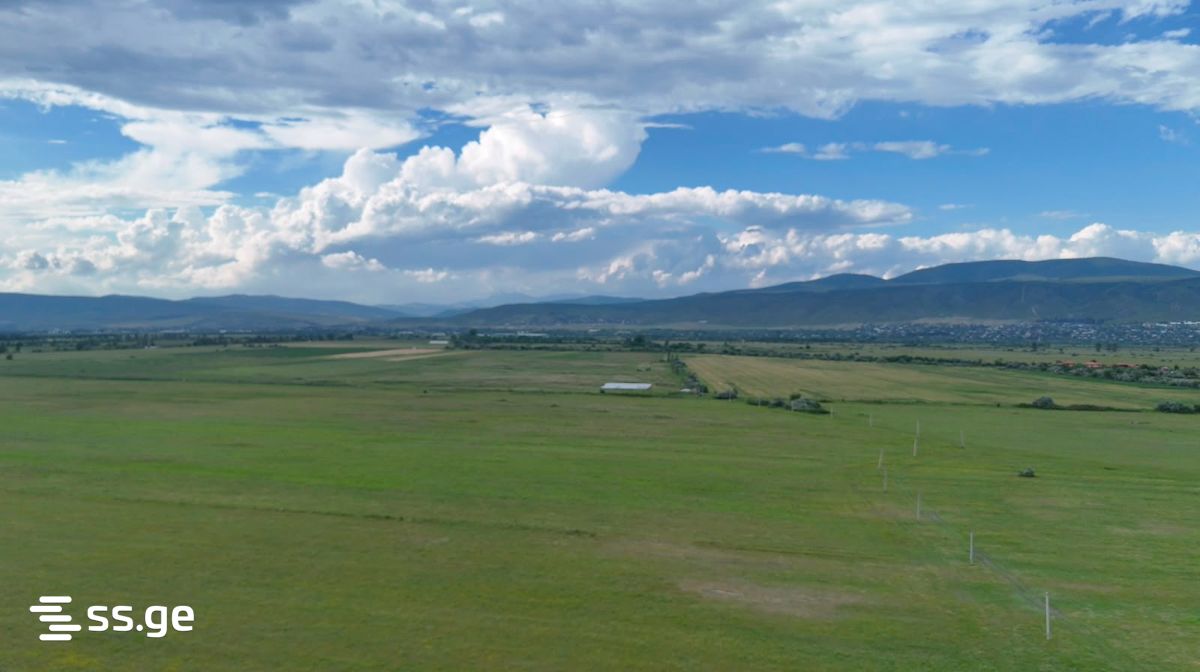 Land For Sale. Mukhrani view 3