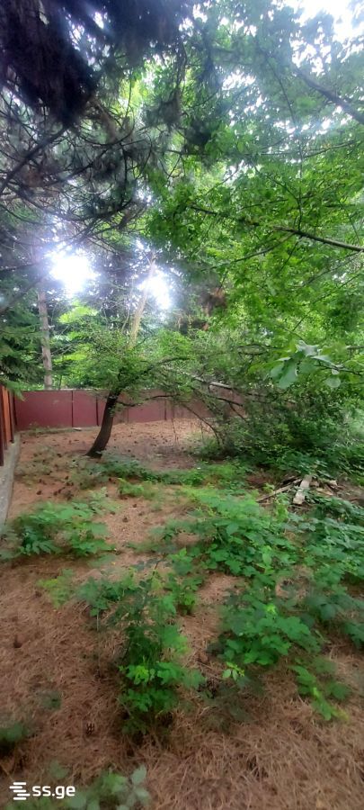 8 Room Summer Cottage For Sale view 2