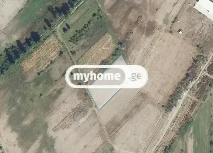 https://static.ss.ge/20260827/6_fc350563-5d61-49c9-aa32-876adc4a2dae_Thumb.jpg
