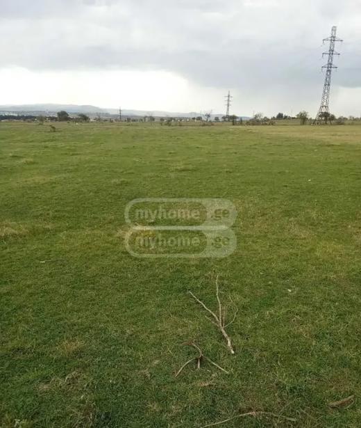 https://static.ss.ge/20260827/7_f7905708-f765-4b82-88cd-91a2a7c8856d_Thumb.jpg