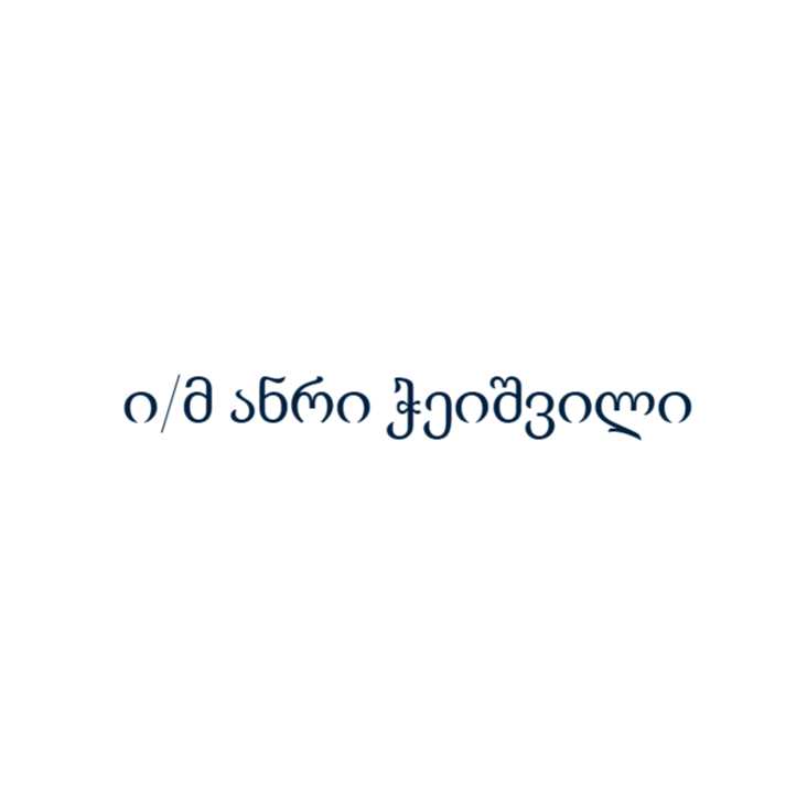 ი/მ ანრი ჭეიშვილი — ლოგო