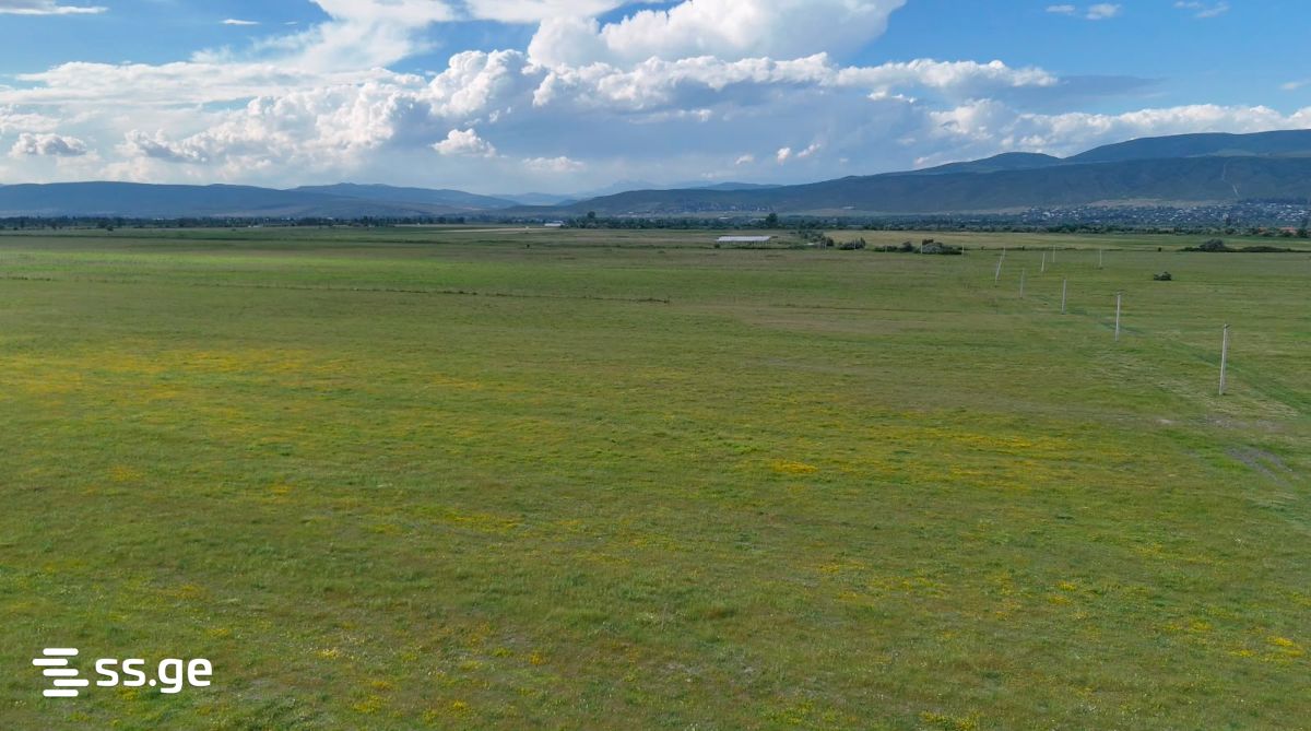 Land For Sale. Mukhrani view 8