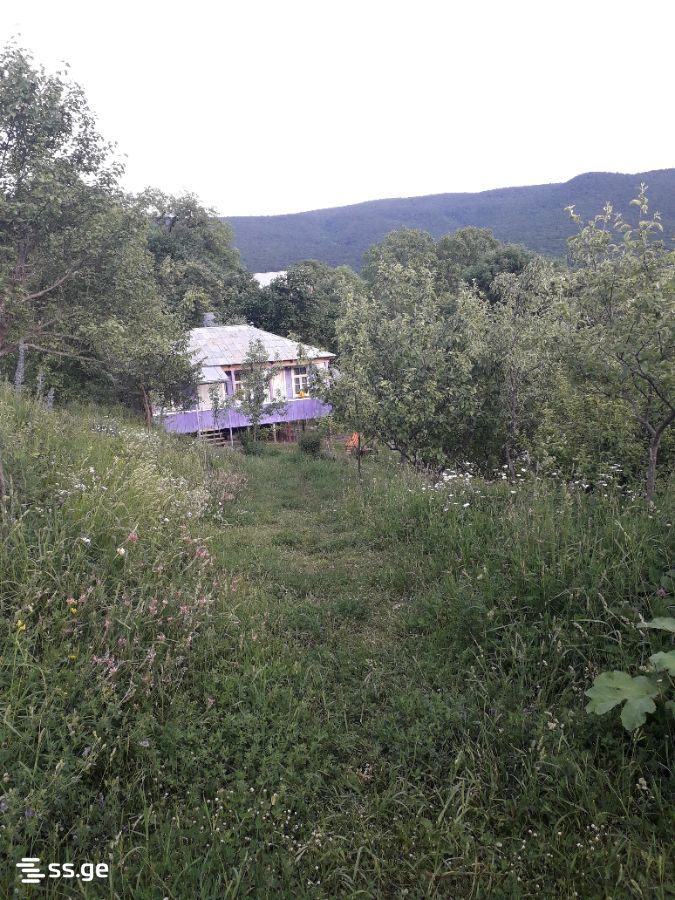 3 Room Private House Daily Rent. Ambrolauri view 1