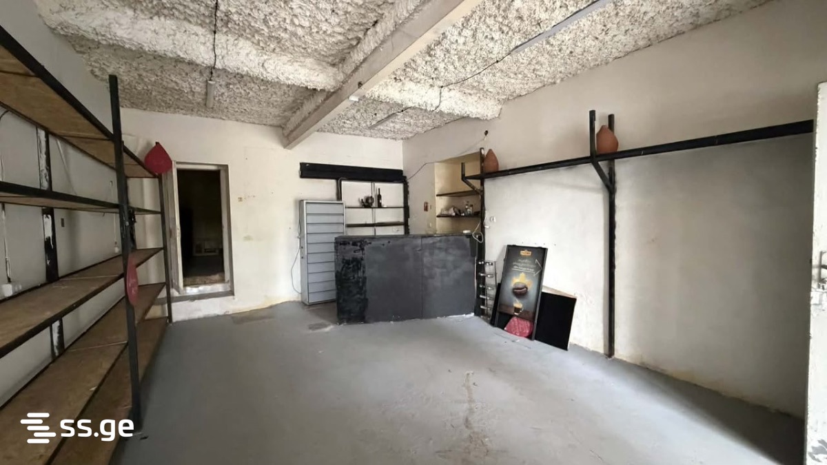 Commercial Space For Rent. Kutaisi view 3