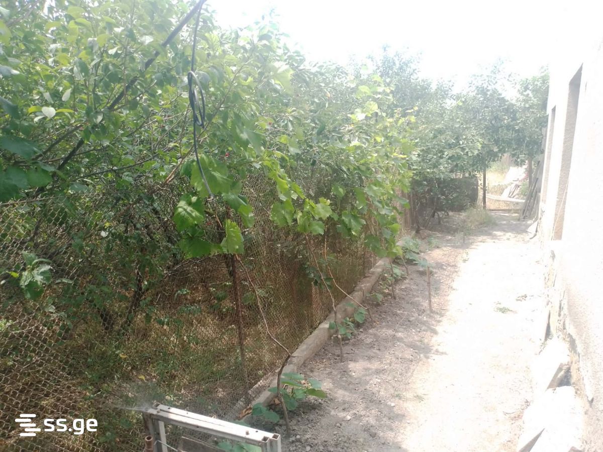 Private House For Sale. Mukhrani view 5