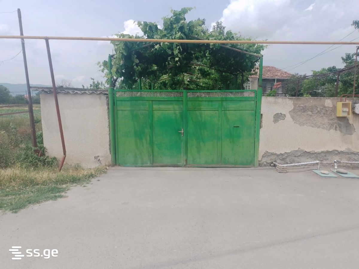 Private House For Sale. Mukhrani view 14