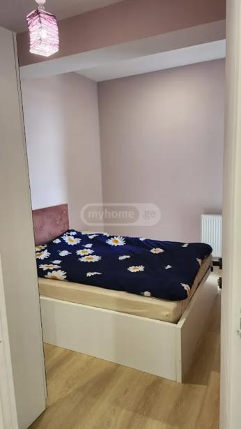 https://static.ss.ge/20260828/19_5cff902c-2d98-43a6-b456-f25d6b6712c6_Thumb.jpg