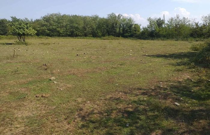 https://static.ss.ge/20260828/19_6a776cd5-f687-485f-bac4-36a11b78d693_Thumb.jpg