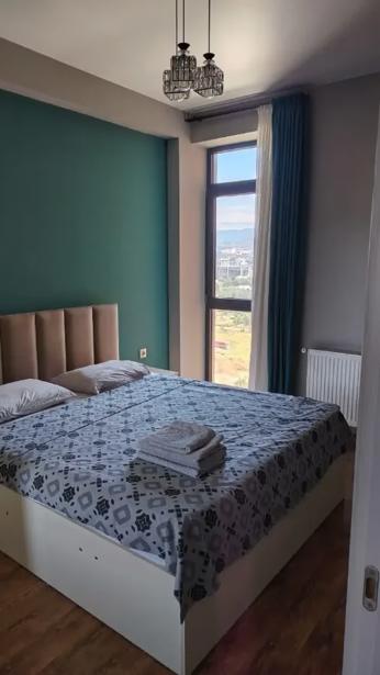 https://static.ss.ge/20260828/5_5e64569f-7fb1-4312-a05f-5c4991c4e80a_Thumb.jpg