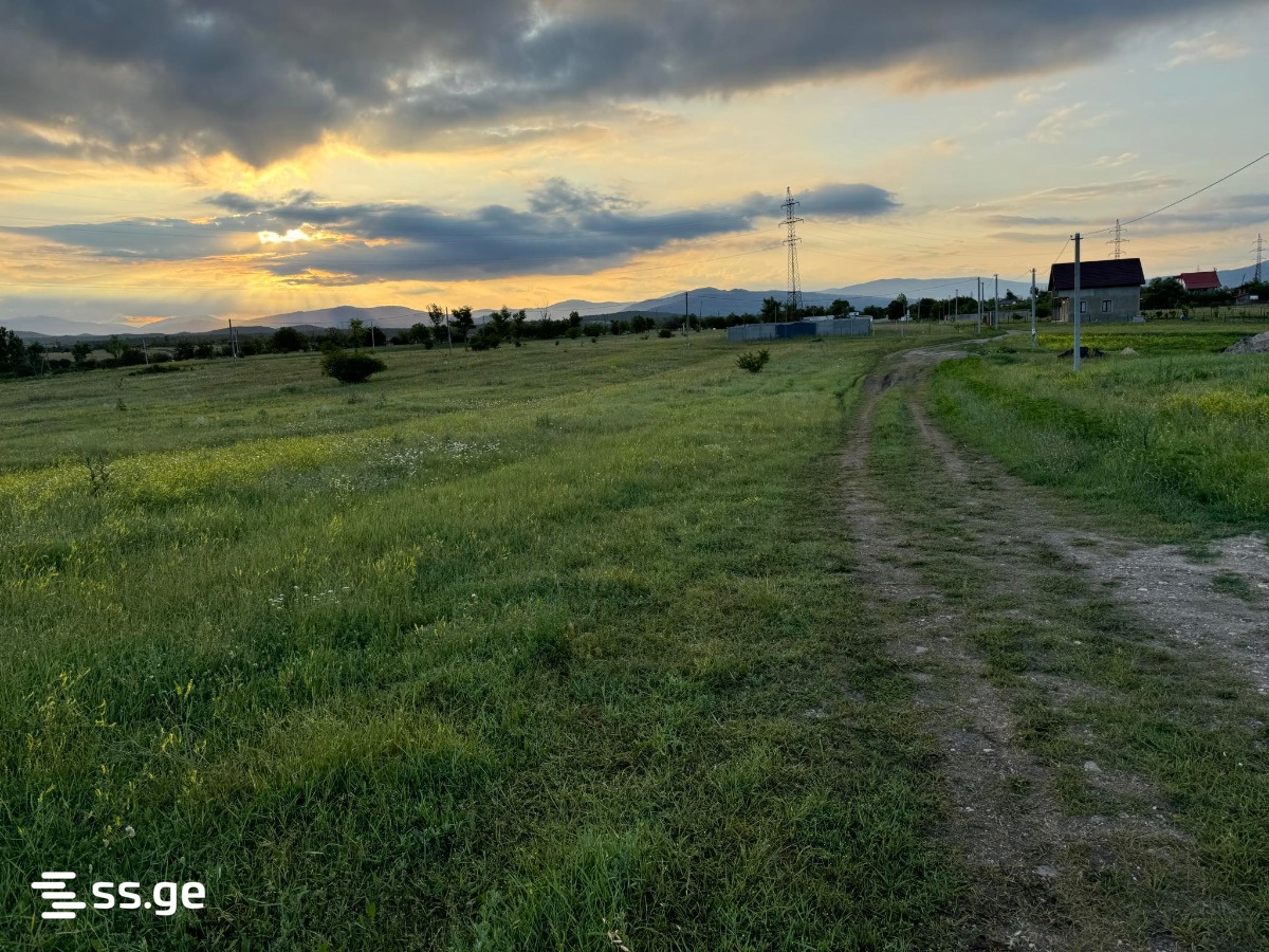 Land For Sale. Bazaleti view 1