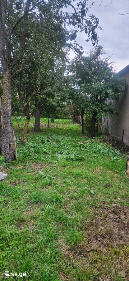 7 Room Summer Cottage For Sale view 2