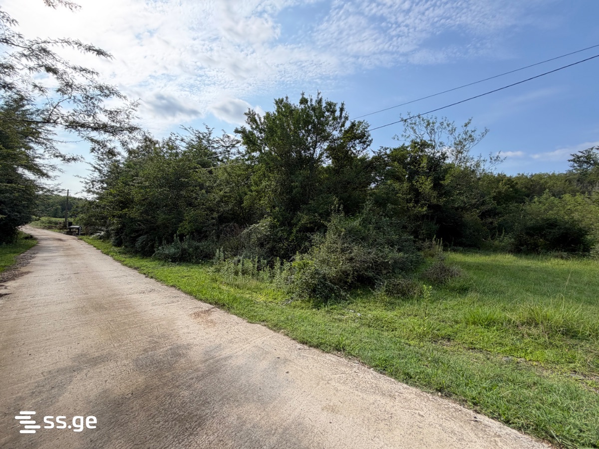 Land For Sale. Kutaisi view 2
