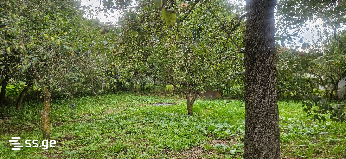 7 Room Summer Cottage For Sale view 8