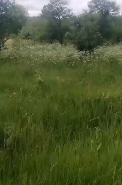 https://static.ss.ge/20260829/12_115eaaa8-c515-4d6b-8eee-4907ef057e95_Thumb.jpg