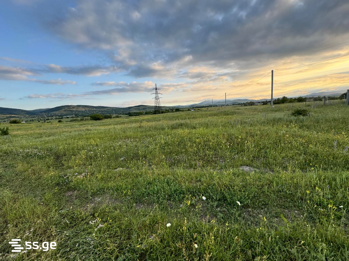 Land For Sale. Bazaleti view 3