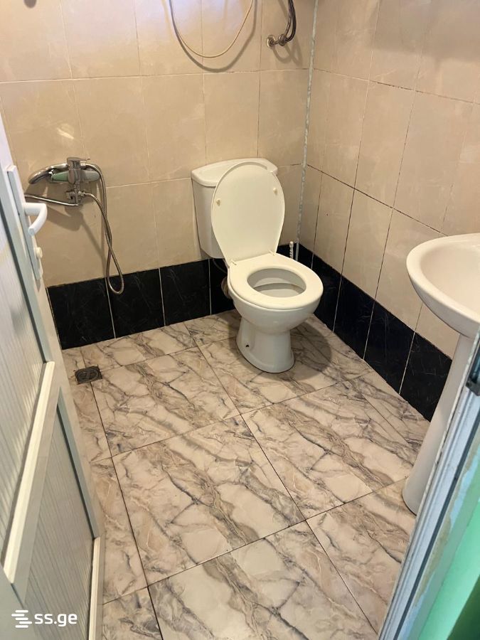 3 Room Private House Daily Rent. Batumi view 9