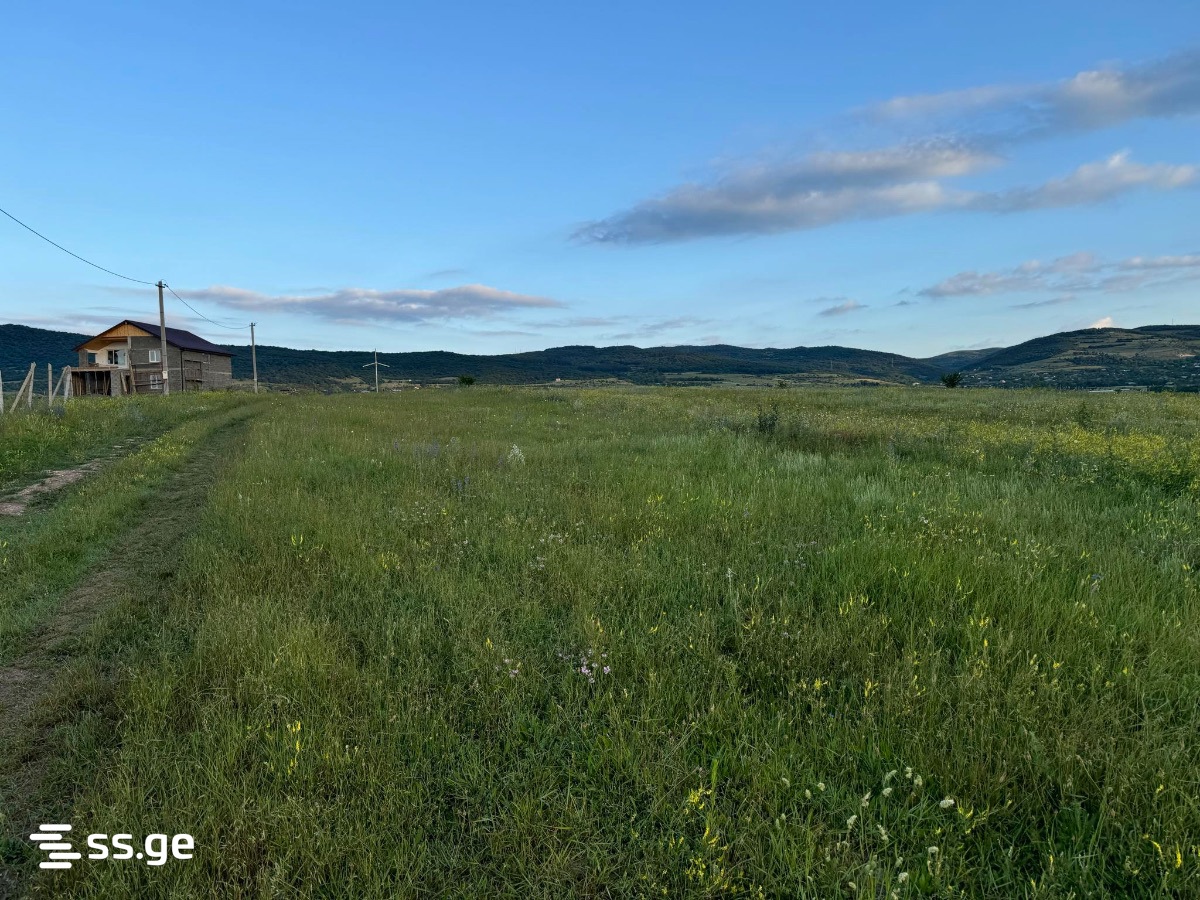 Land For Sale. Bazaleti view 4