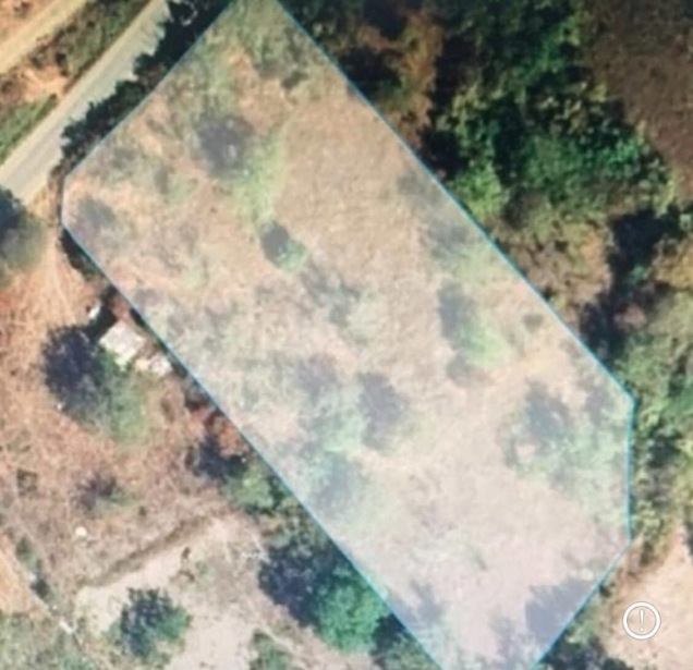 https://static.ss.ge/20260829/14_1502e2ff-c4eb-496b-8cca-1e2541782904_Thumb.jpg