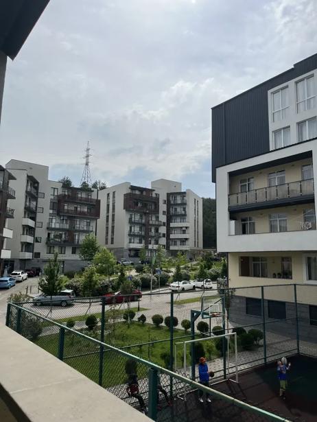 https://static.ss.ge/20260829/14_7c6385be-881d-4c6e-b687-ae27cd0cd63f_Thumb.jpg