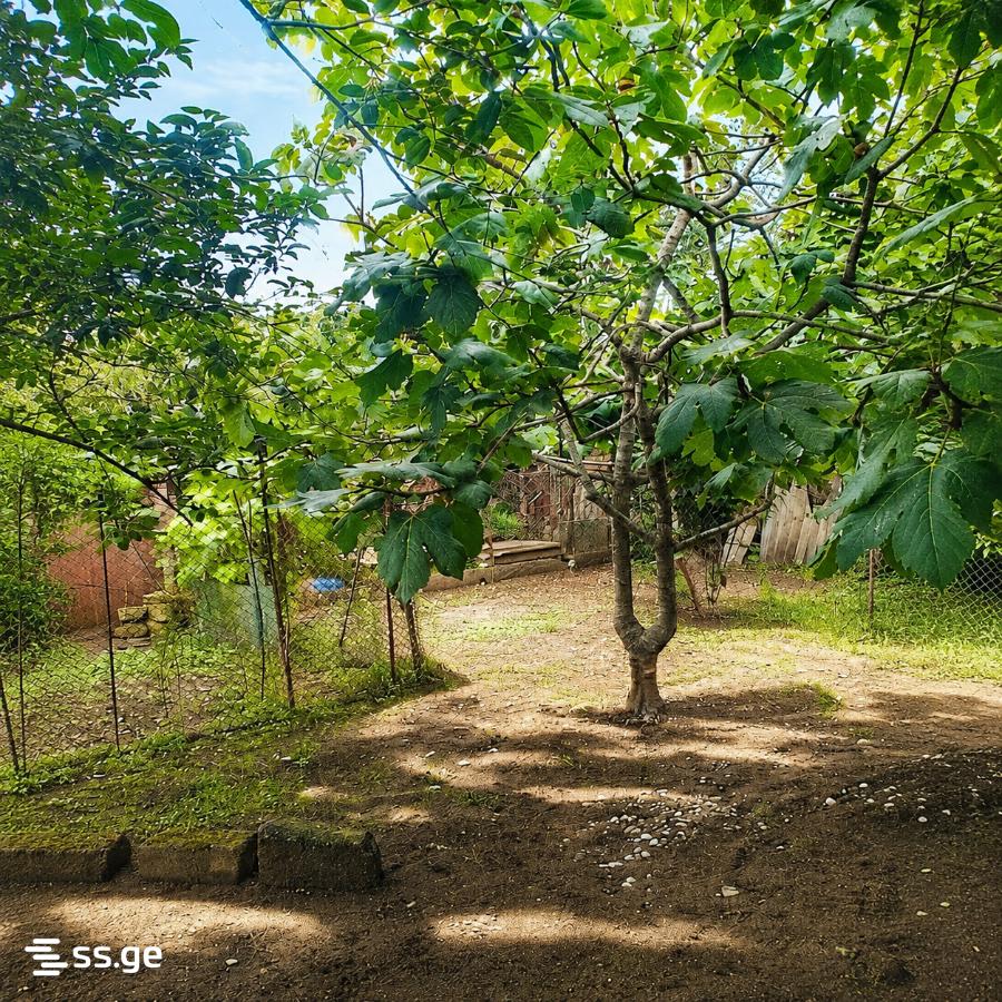 4 Room Private House For Sale view 12