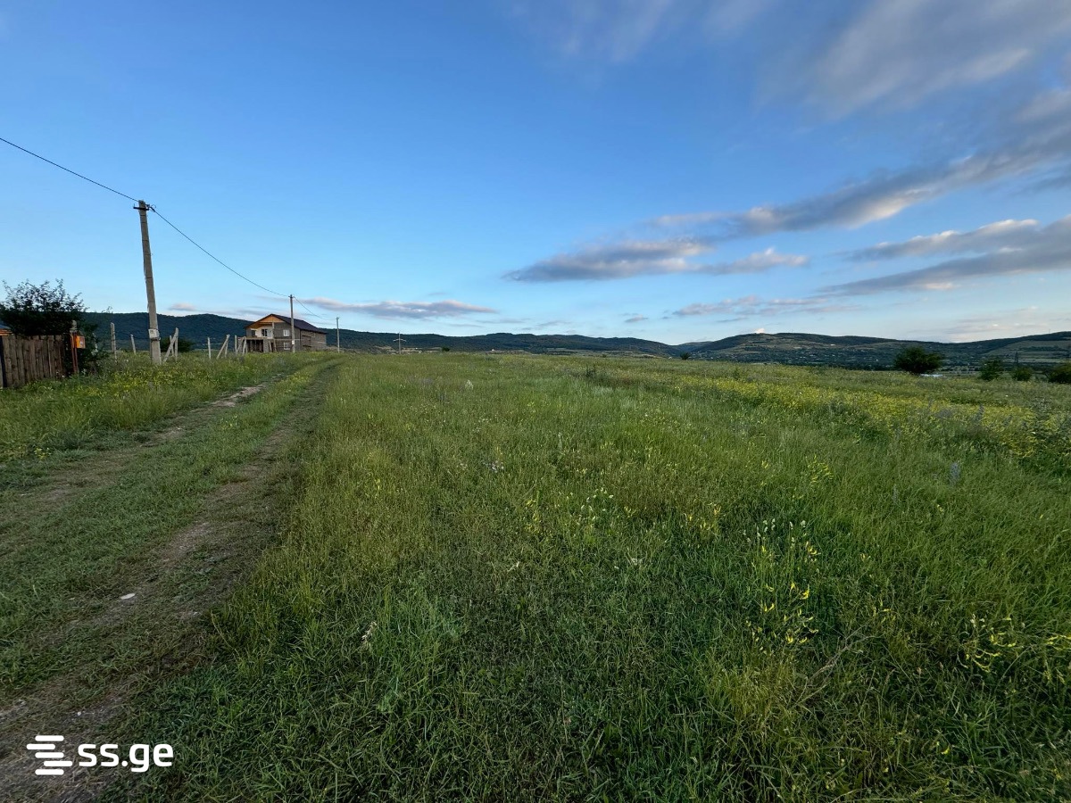 Land For Sale. Bazaleti view 2