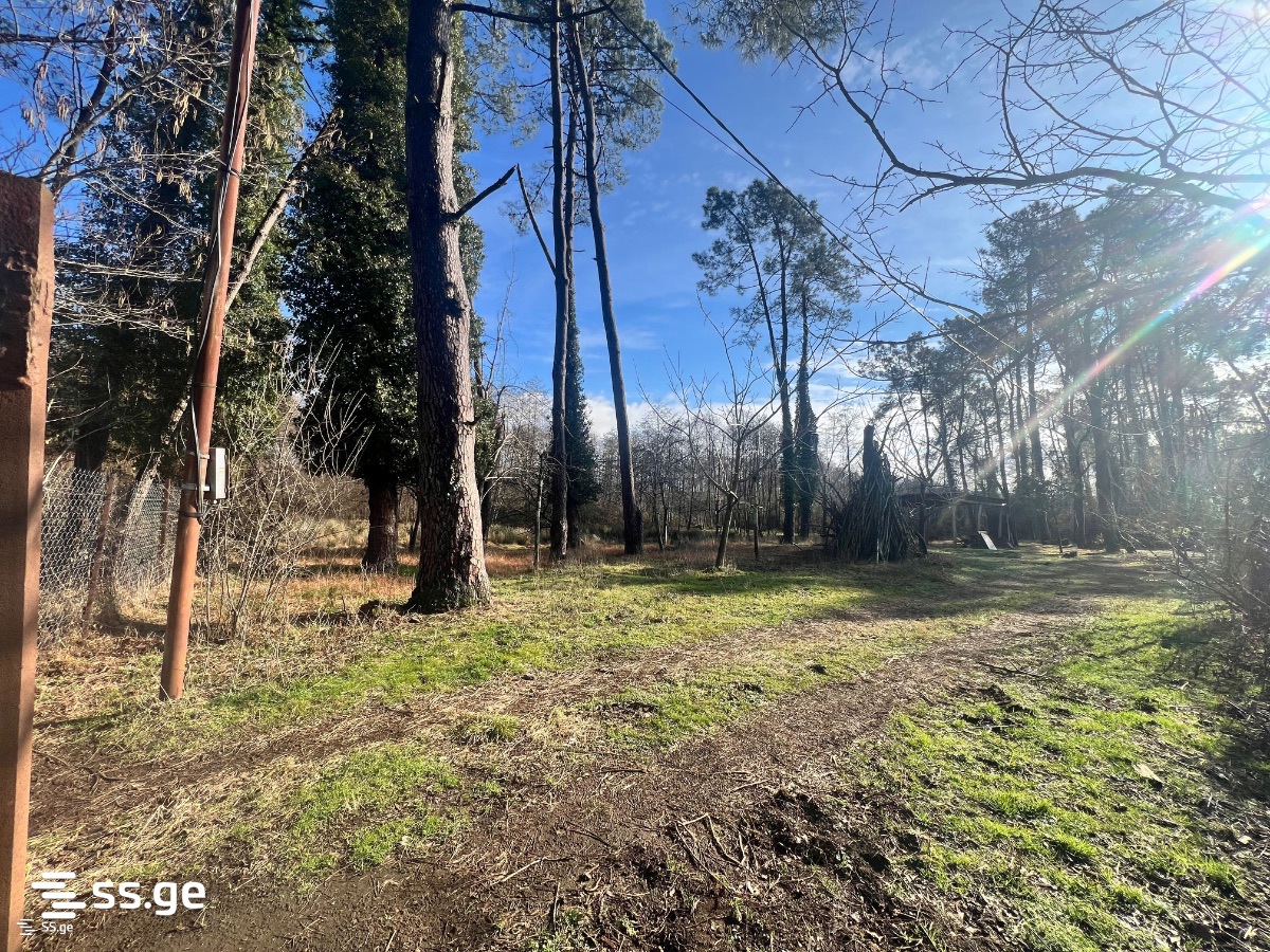 Land For Sale. Shekvetili view 3