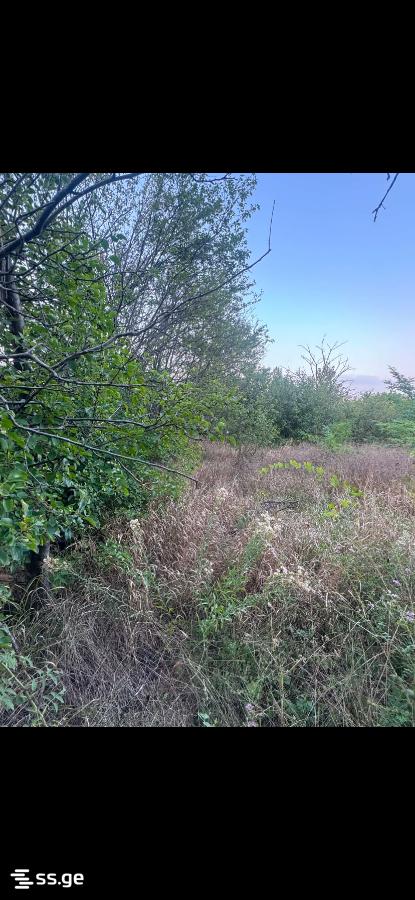 იყიდება მიწა კასპიში view 1