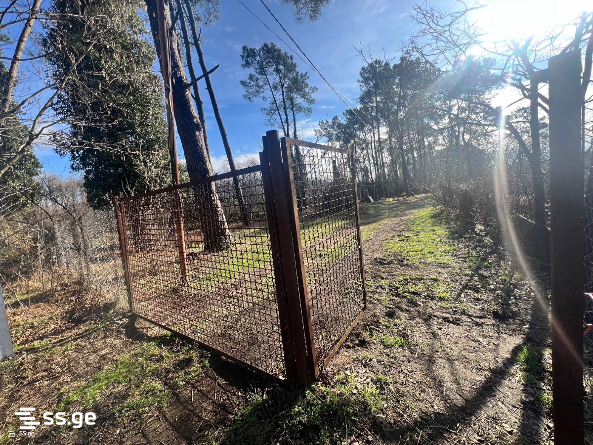 Land For Sale. Shekvetili view 1