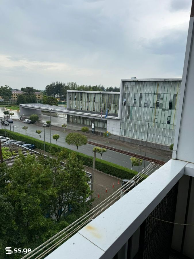 4 Room Flat For Rent. Zugdidi view 4