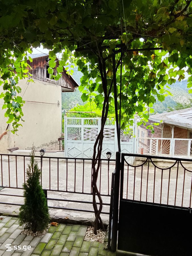 1 Room Private House Daily Rent. Borjomi view 13