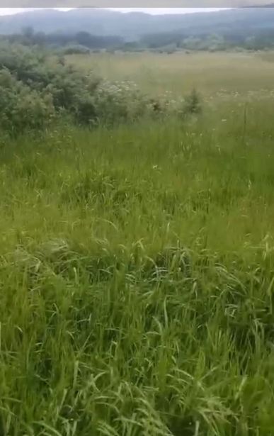 https://static.ss.ge/20260829/9_1800c910-96a1-4ea5-a917-a32ce9f87891_Thumb.jpg