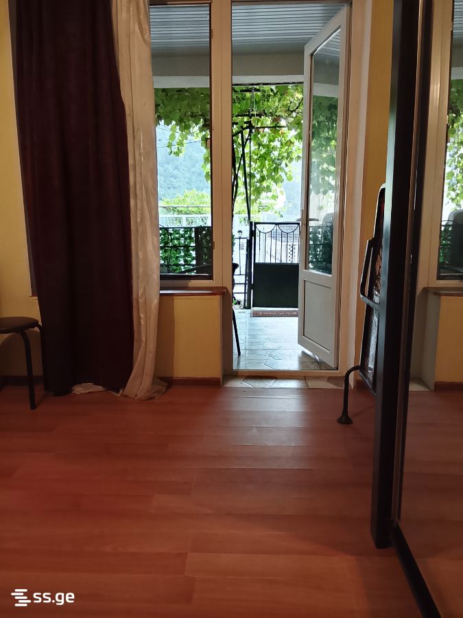 1 Room Private House Daily Rent. Borjomi view 1
