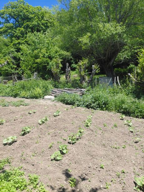 https://static.ss.ge/20260830/10_5926d63c-db83-4e97-8bd3-117a91f5381d_Thumb.jpg