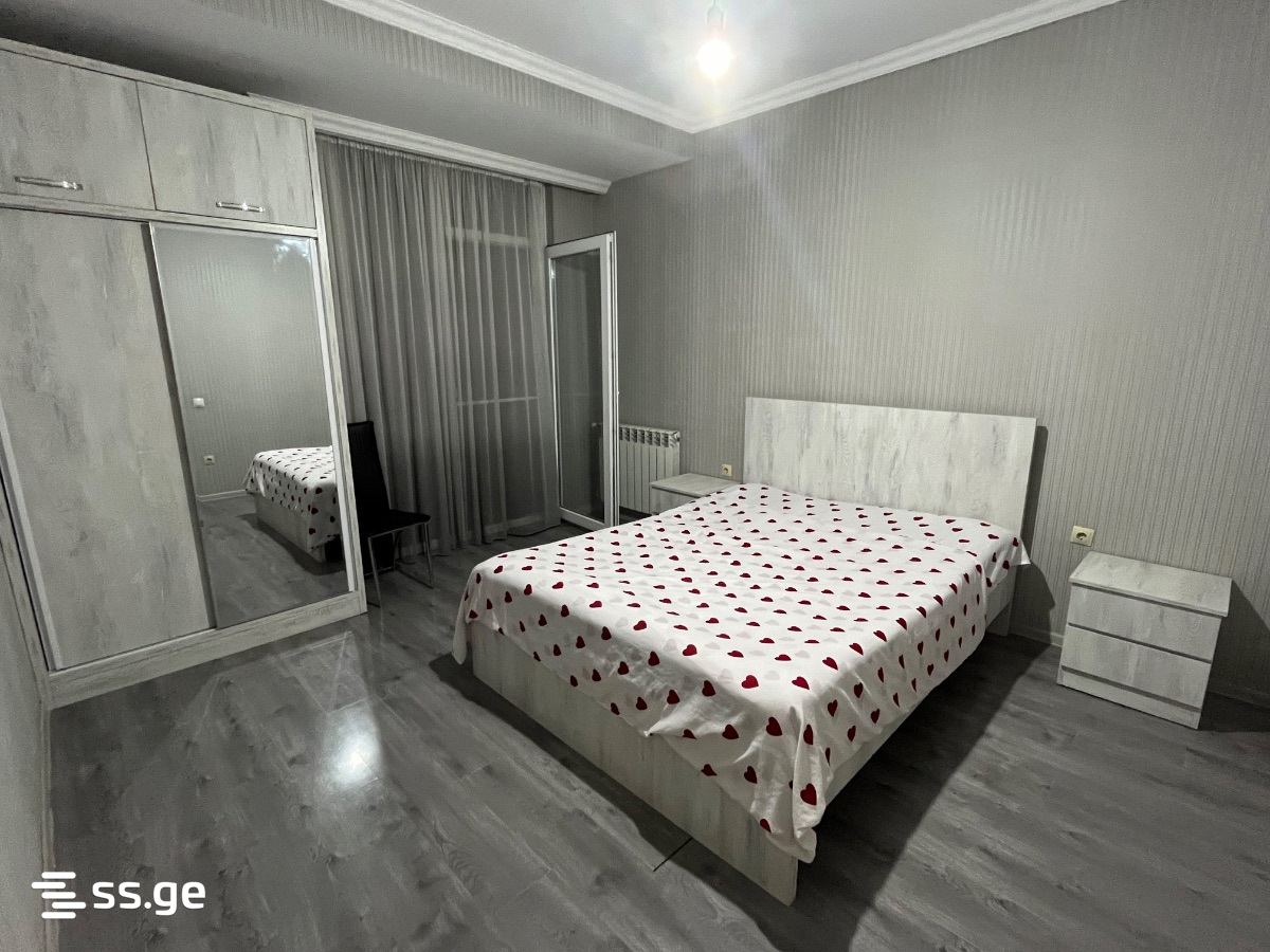 2 Room Flat Daily Rent. Rustavi view 2