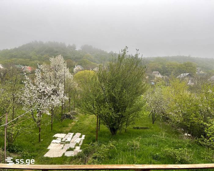 7 Room Private House For Sale view 60
