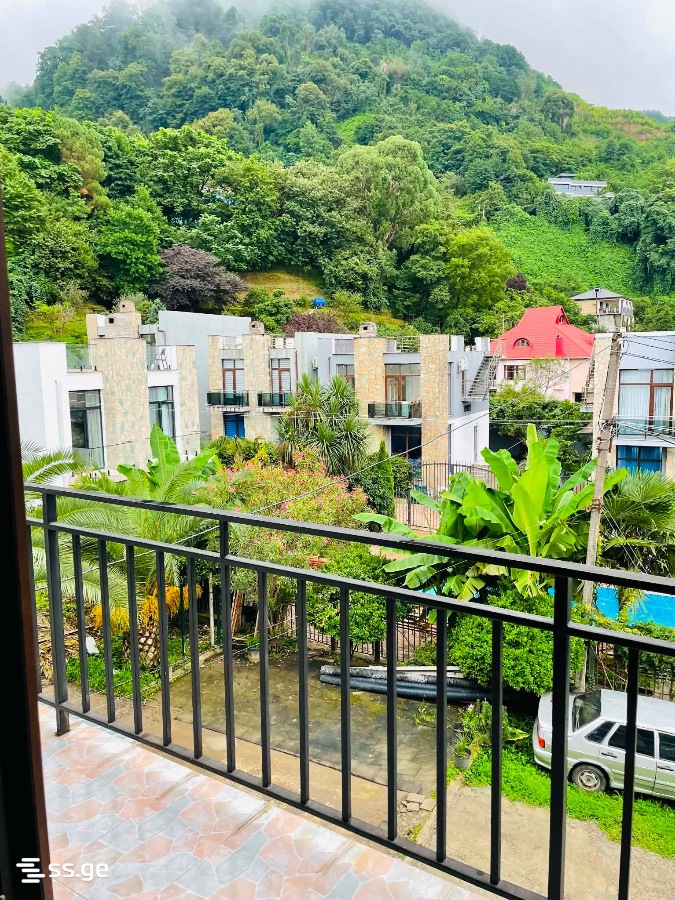 3 Room Flat For Rent. Gonio view 13
